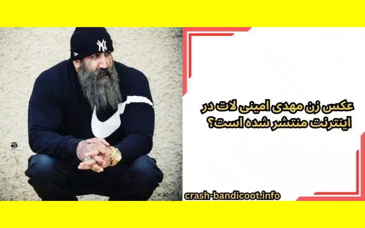 بیوگرافی مهدی امینی بلاگر شرور و همسرش با عکس و علت دستگیری مهدی امینی